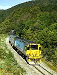 F51T2384 tranz 803 april 10 2008.JPG